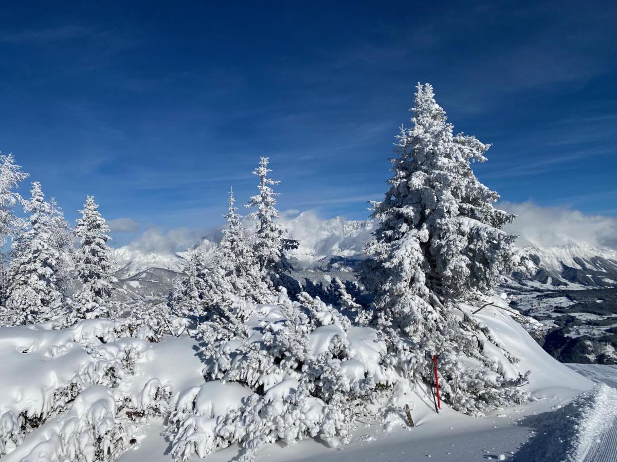 Chalet Reiteralm- Ski Inski Out سخلادميخ المظهر الخارجي الصورة