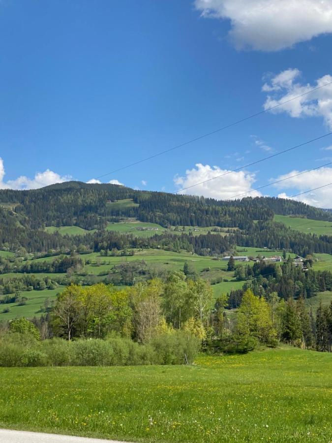 Chalet Reiteralm- Ski Inski Out سخلادميخ المظهر الخارجي الصورة