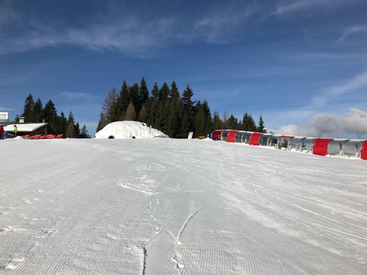 Chalet Reiteralm- Mit Sommercard سخلادميخ المظهر الخارجي الصورة